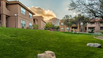 Lush landscape